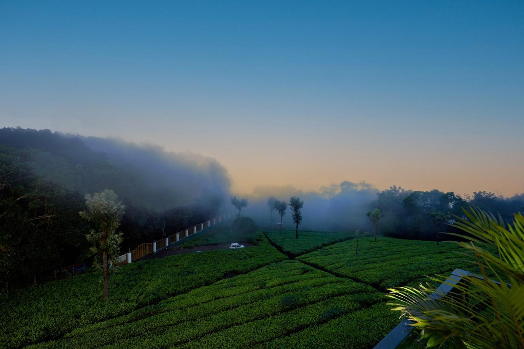 De Rock Jungle Living Resort Coonoor Exterior foto